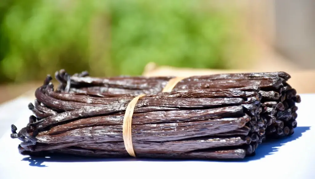 [96039] Vanille Bourbon 1 gousse 16/18cm BIO - CDE