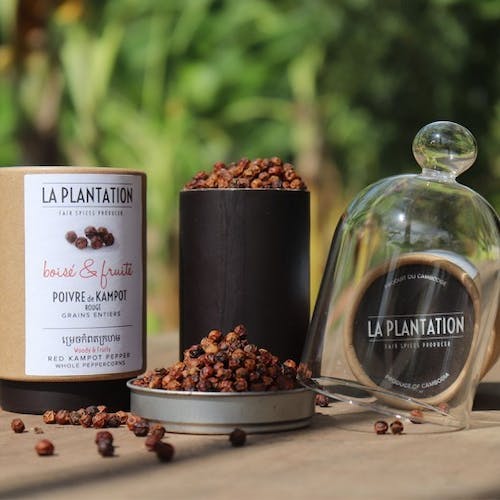 [KRP50TU] Poivre de Kampot rouge - 50gr tube - La Plantation