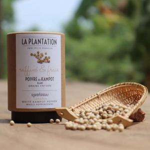 Poivre de Kampot Blanc - 50gr tube - La Plantation