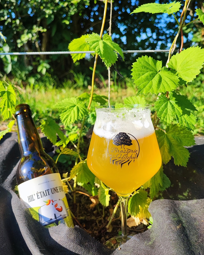 Hil' était une fois 4.8°(American Pale Ale Double Dry Hop)