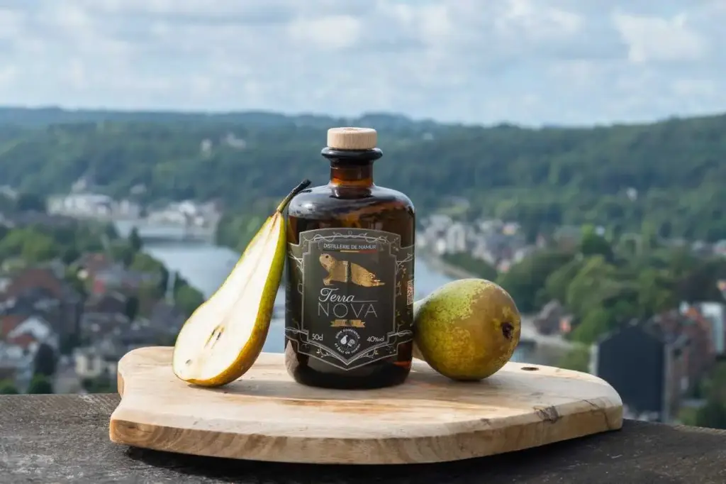 Terra Nova Gin 50cl - Distillerie de Namur