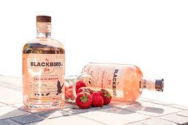 Blackbird Gin - 50cl - Distillerie de Namur