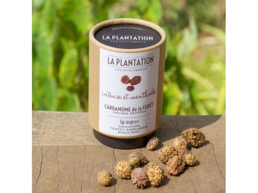 [CARDFO50TU] Cardamome de la Forêt entière - 50gr tube